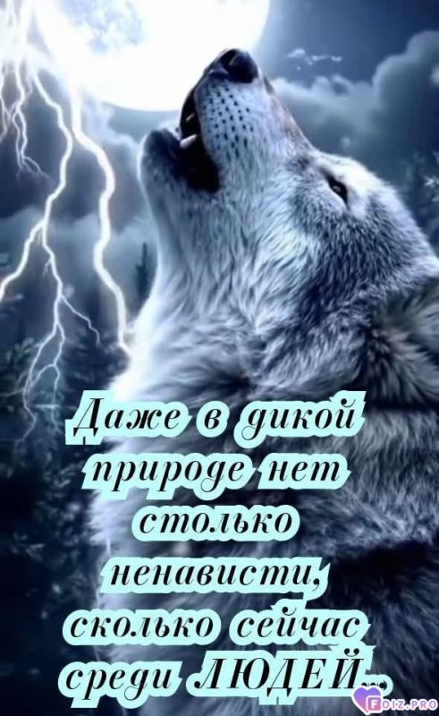 171bb44bebc0021d1e29496c82f4ed15