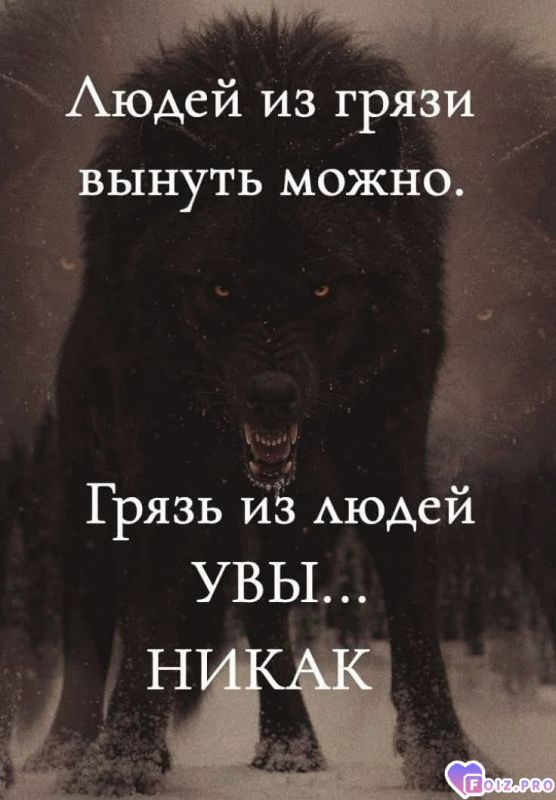 3ad53263ab4b4b98ac491dfcc9d80a7b