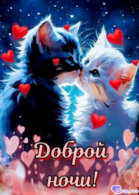 b96a1d353d43d433e5ad078ea7f33d20