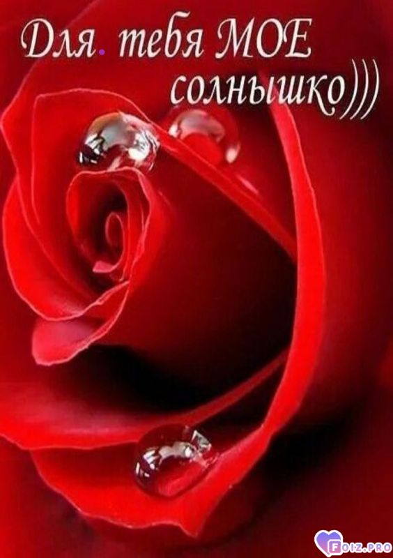 76d5c2f36dcd814126d4f03e3e3eda79