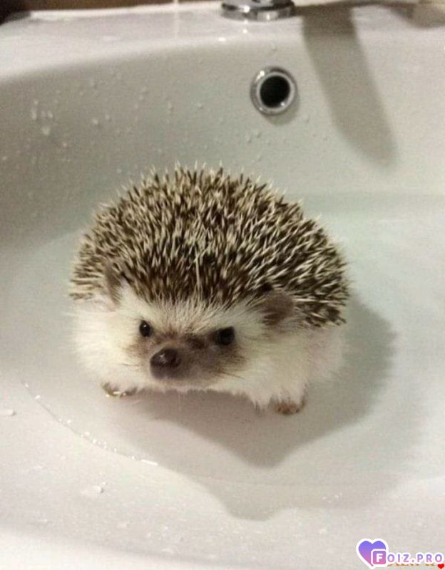 Не зли Меня)))