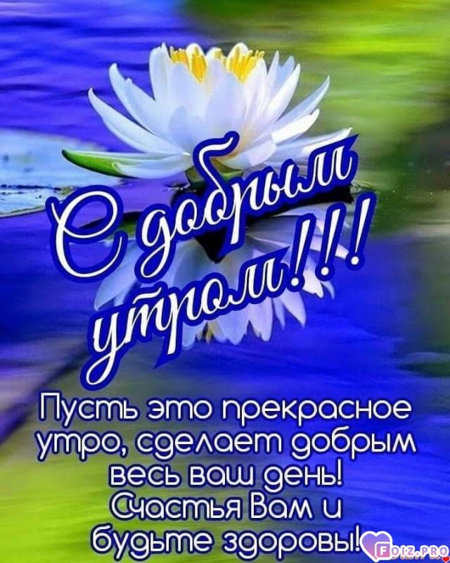 доброе утро