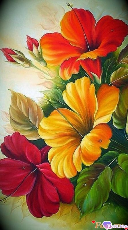 ac366534d2b53aa528f9b1c1fc285b09