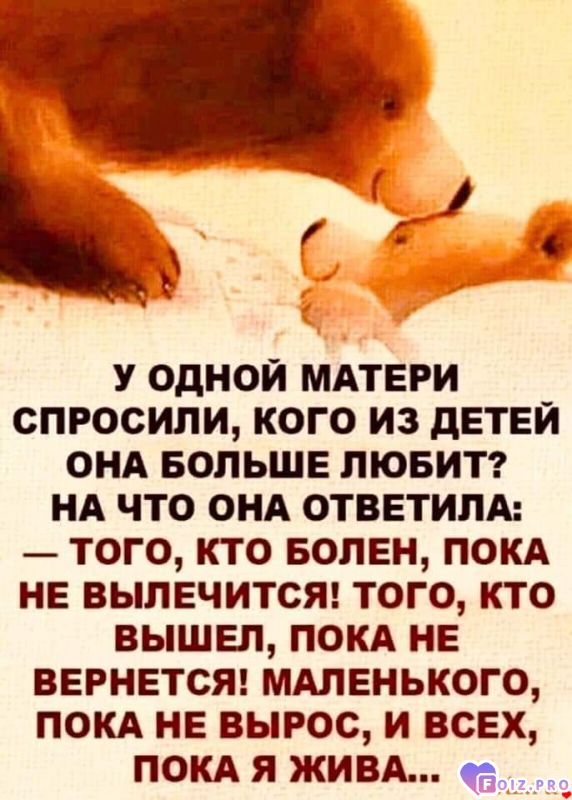 FB_IMG_1619336476332