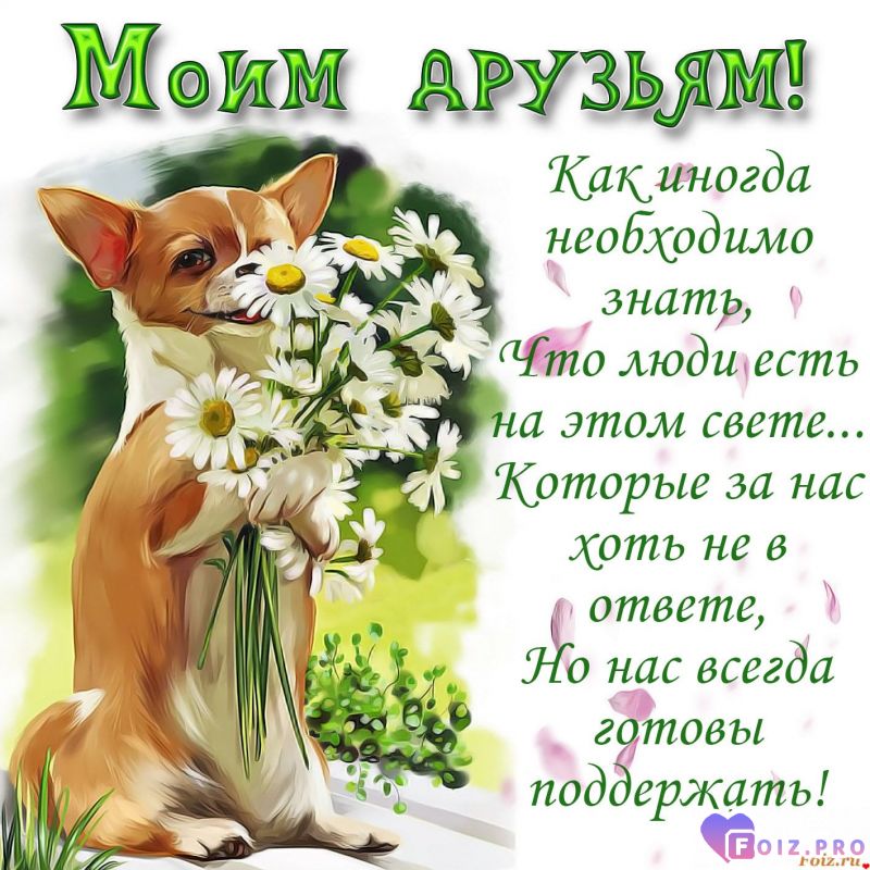 kartinki-dlya-druzey