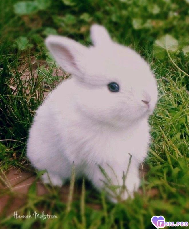 410ae51ee55d21d32afbb106fe9c978b