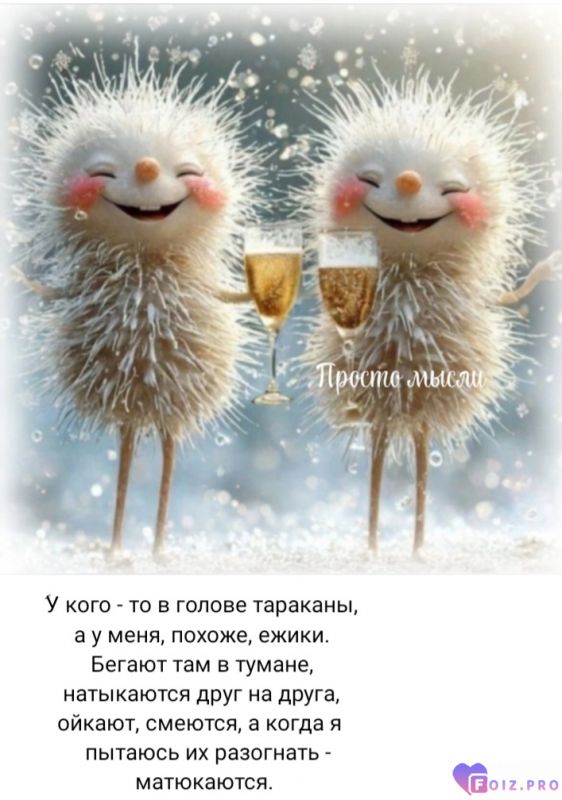 Screenshot_20250416_210514_VK