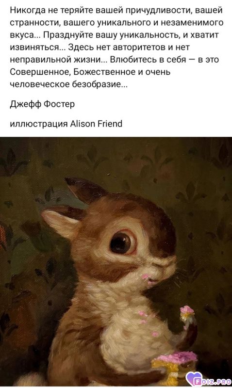 Screenshot_20241010_071424_VK