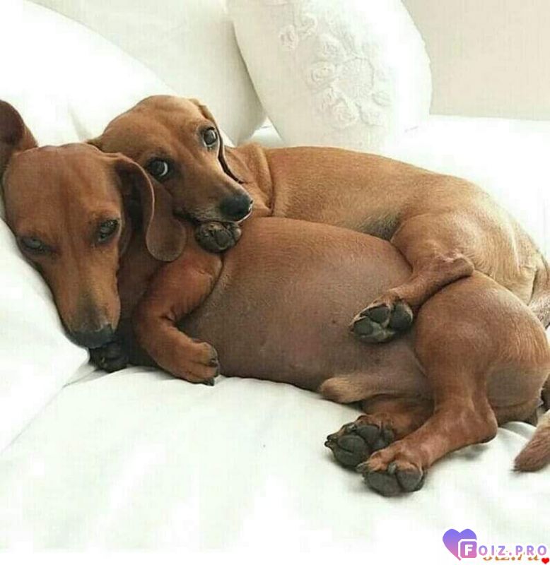 Да мы такие юмор