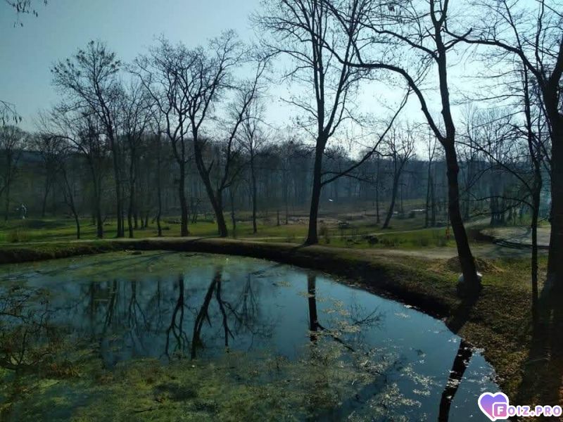 FB_IMG_1612511211834