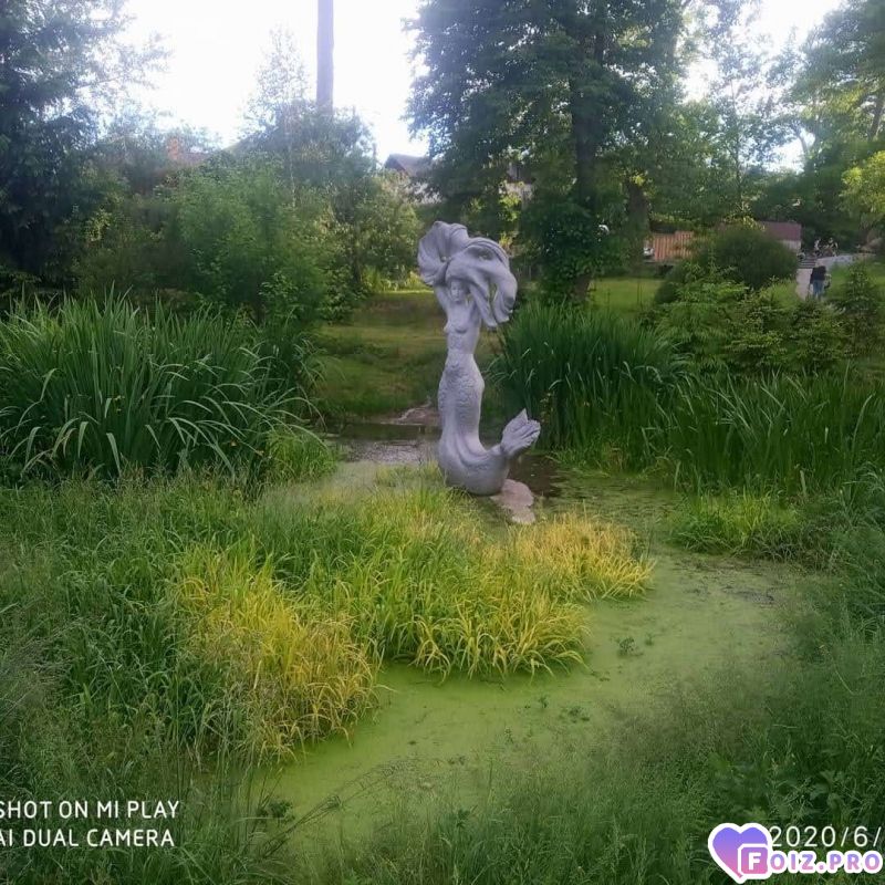 IMG_20200608_075537_864