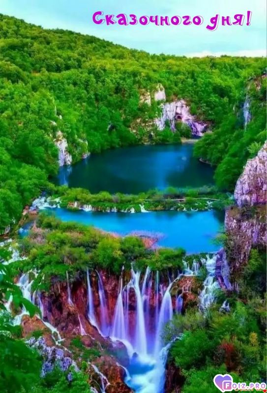 Добрый день