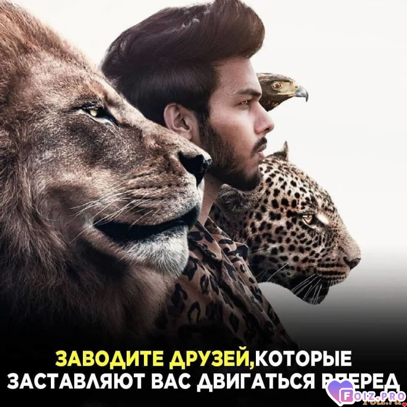 Рассуждения 16