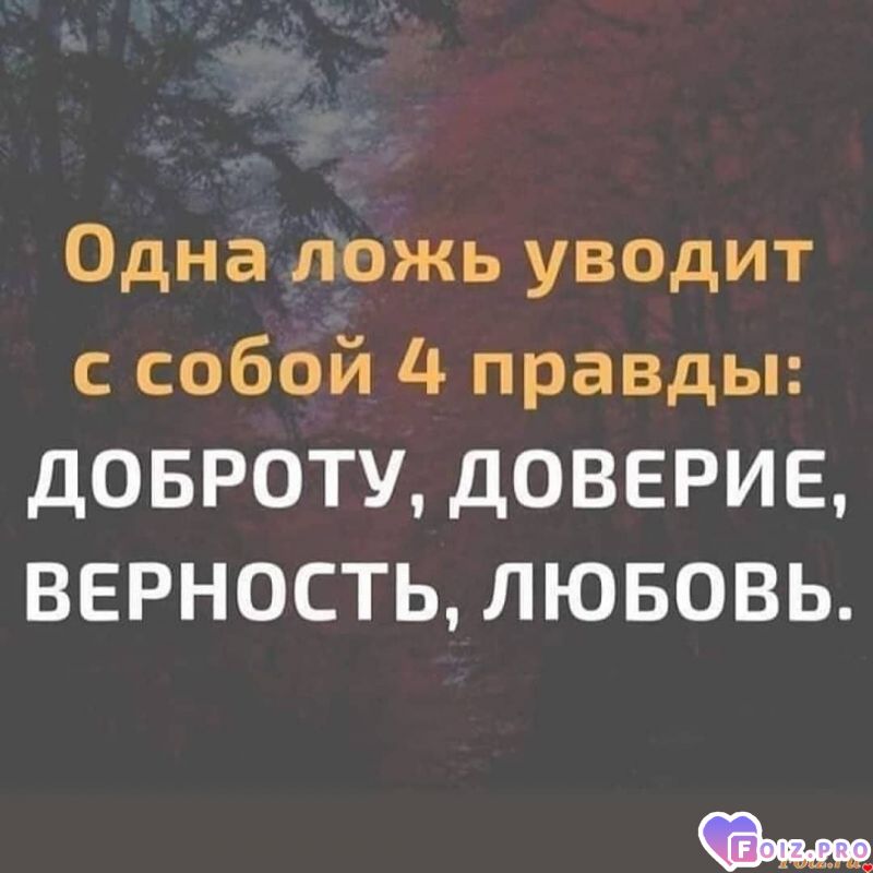 Рассуждения 20