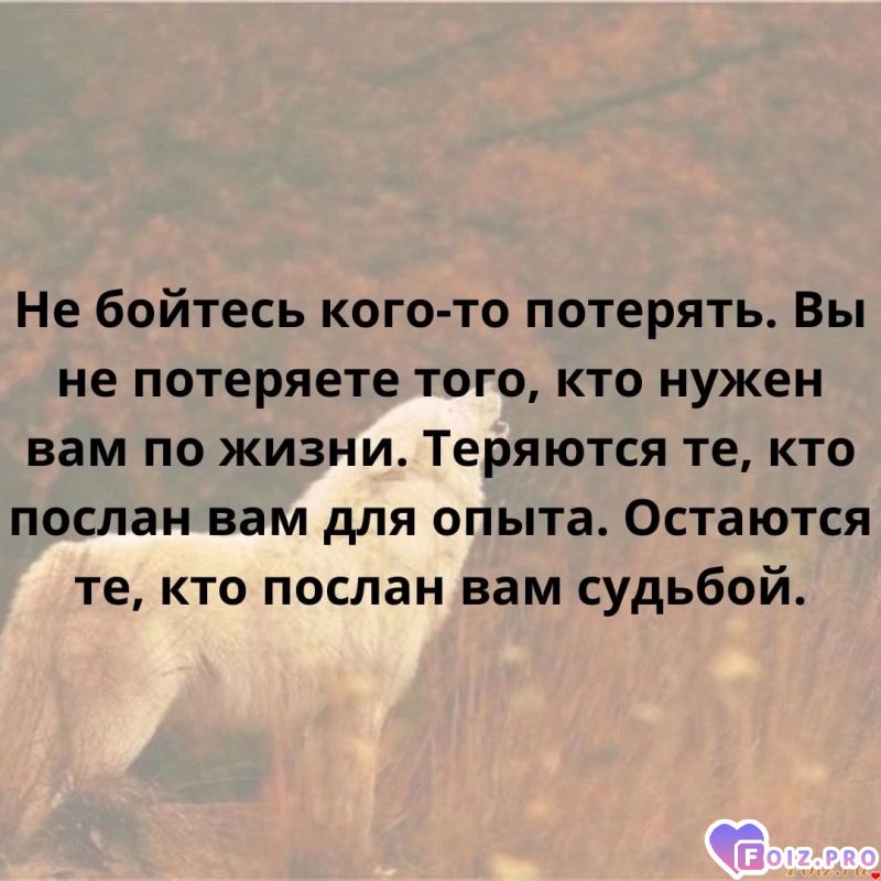 Рассуждения 35