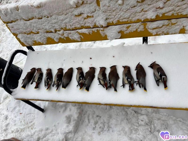 IMG_20251229_195030_547