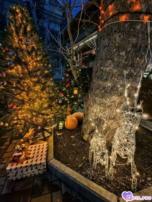 IMG_20251218_213536_693