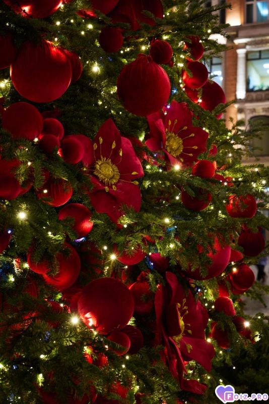 IMG_20251218_220627_437