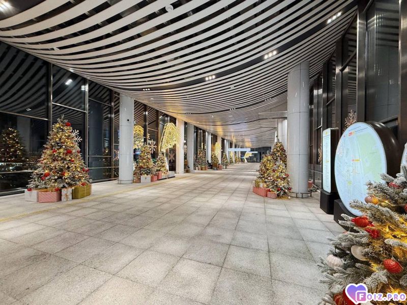 IMG_20251226_194825_867