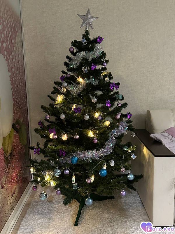 IMG_20260103_220404_872