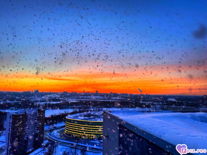 IMG_20260210_082403_718