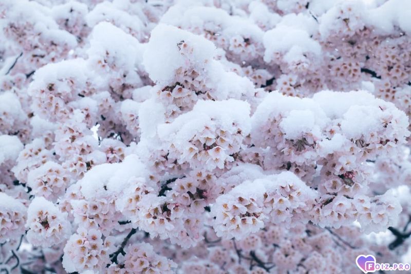 IMG_20260218_183436_388