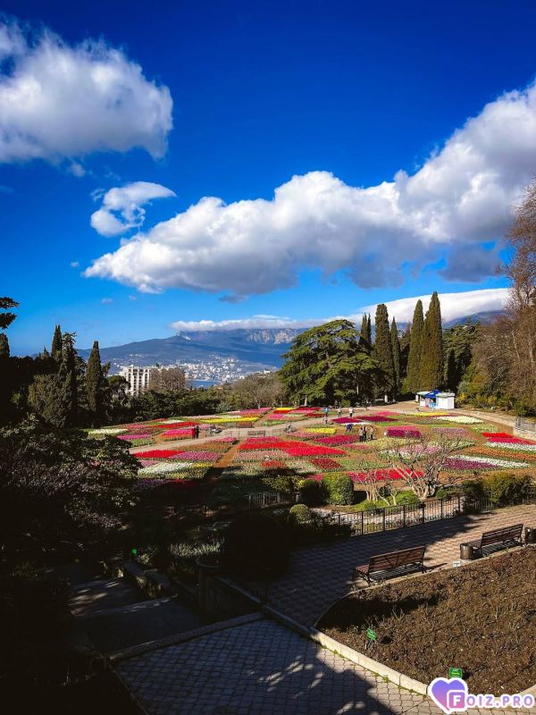 IMG_20260414_143314_549