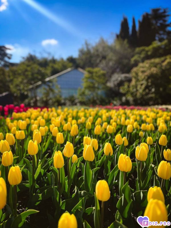 IMG_20260414_143314_866