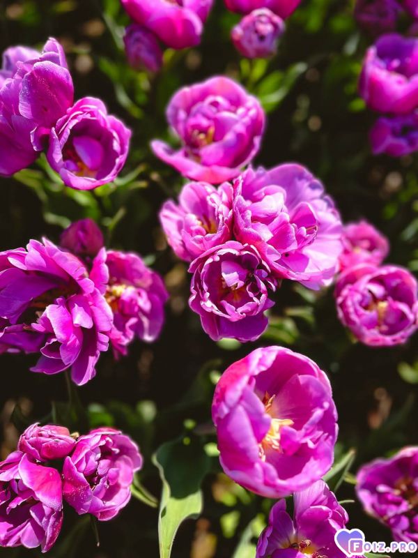 IMG_20260414_143315_266