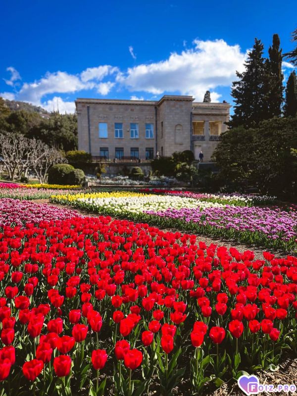 IMG_20260414_143315_043