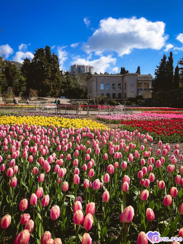 IMG_20260414_143315_021