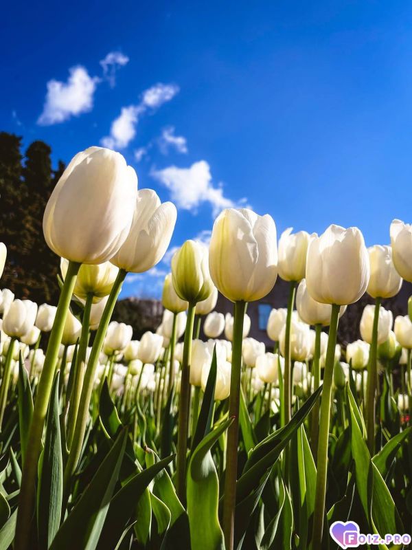 IMG_20260414_143314_948