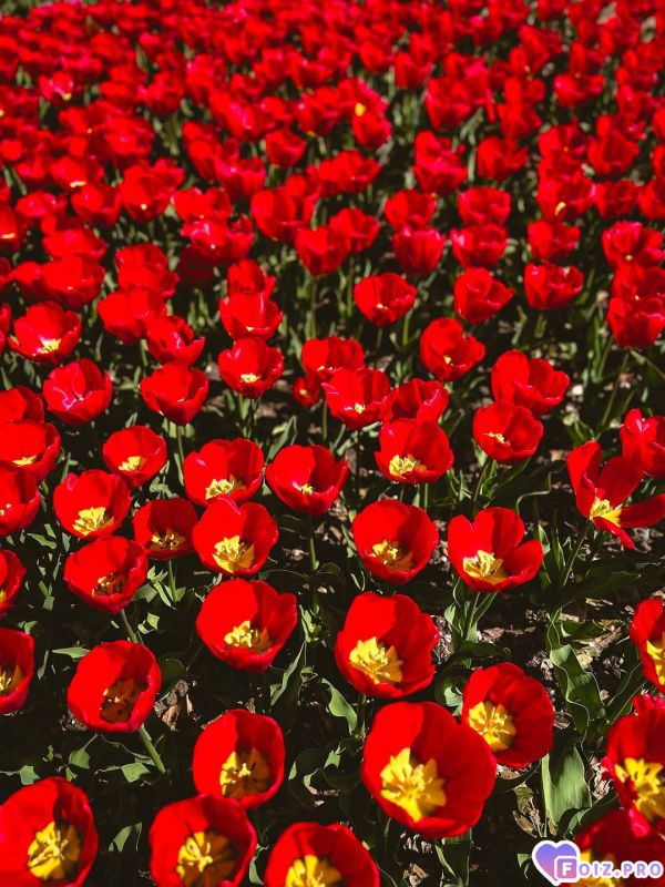 IMG_20260414_143315_316