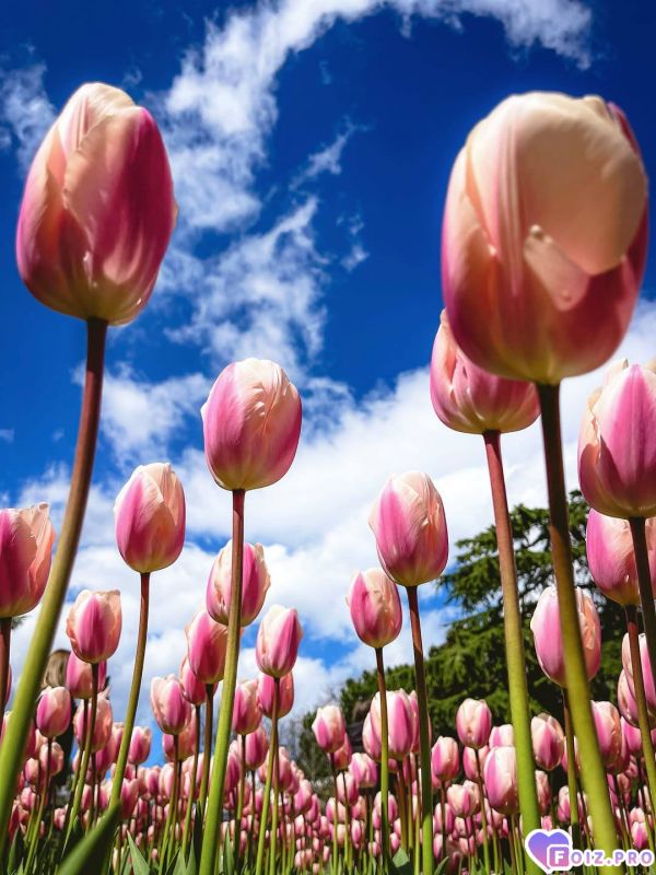 IMG_20260414_143315_048