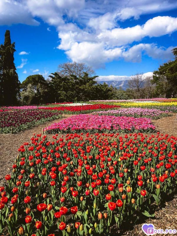 IMG_20260414_143314_885