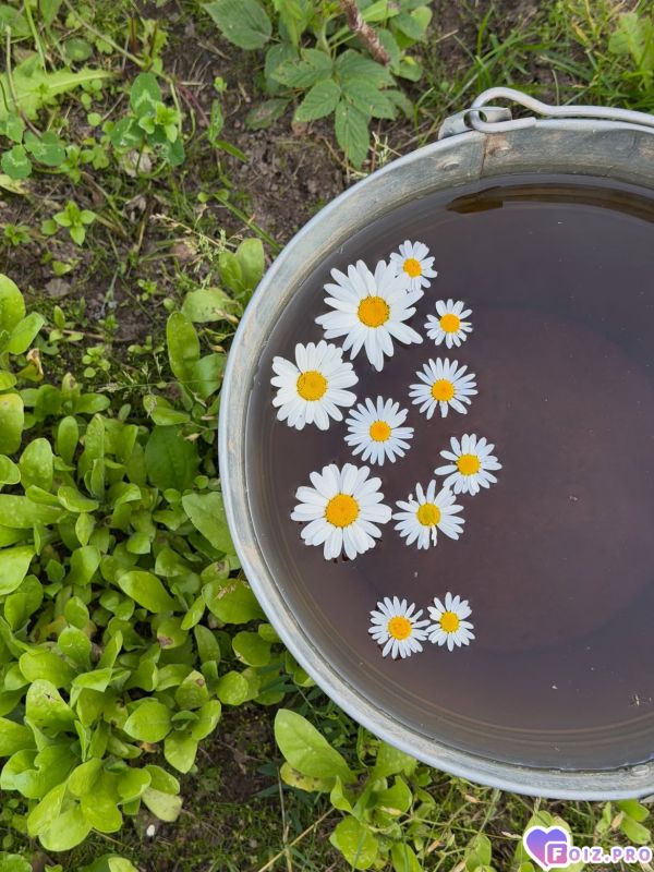 7789009988