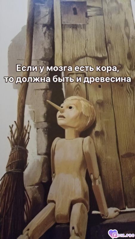 Из жизни буратинов 6