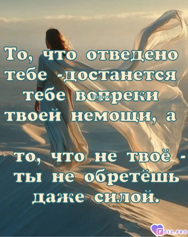 FB_IMG_1764625008456