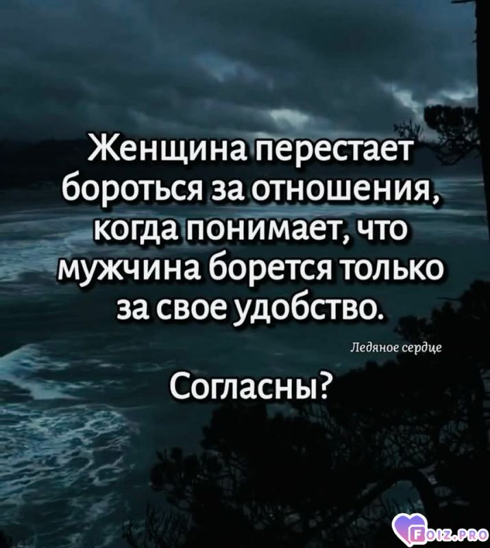 FB_IMG_1765087599921