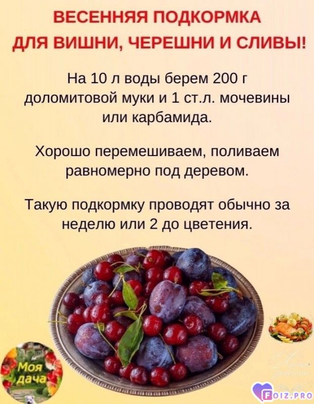 481ab9ee1c15178c8059a38313a2179b