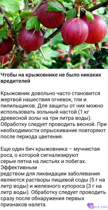 657e8119dbb22aaf3ae2f70d8bfc07fe