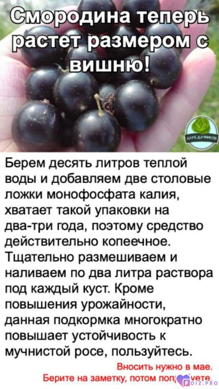 6582ae307dbdef2da96e8fc8c5b56708