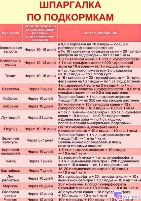 9f2668a1f3f424a9084ac49ddf92f5b8