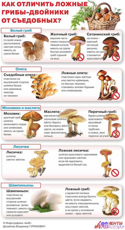 48ce651e51d724838ebd2443c0a678bf