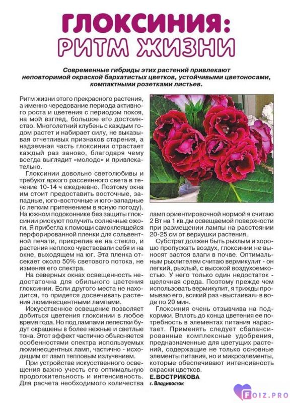 5399b4545ed4eae938a706cade2eabf9