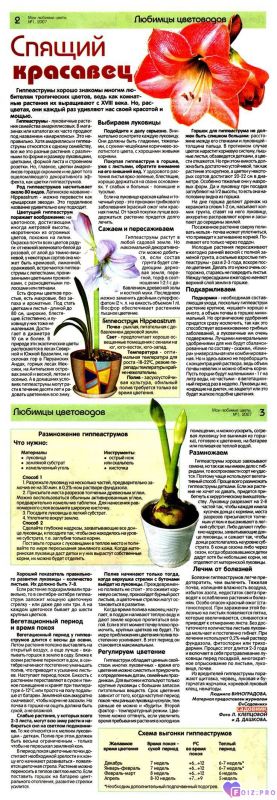 06027833807e3f2863d2c1d8e58f9dfd