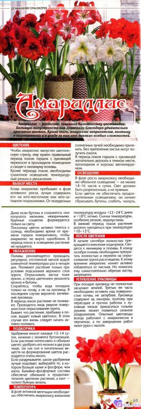 136bcf52d5a5bd69a37fa27c936109ff