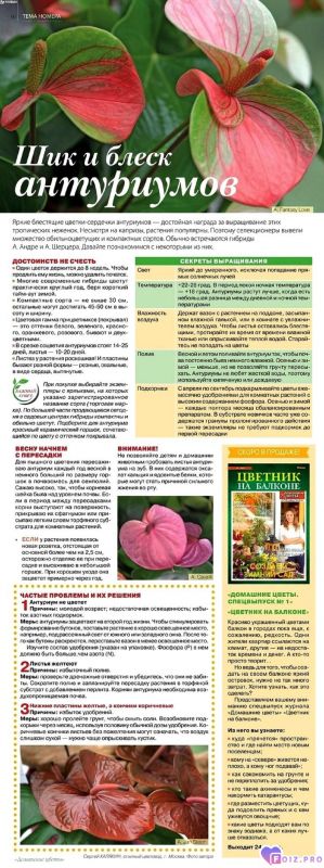 96655592c55ae1d6fa833f8cde043ae5