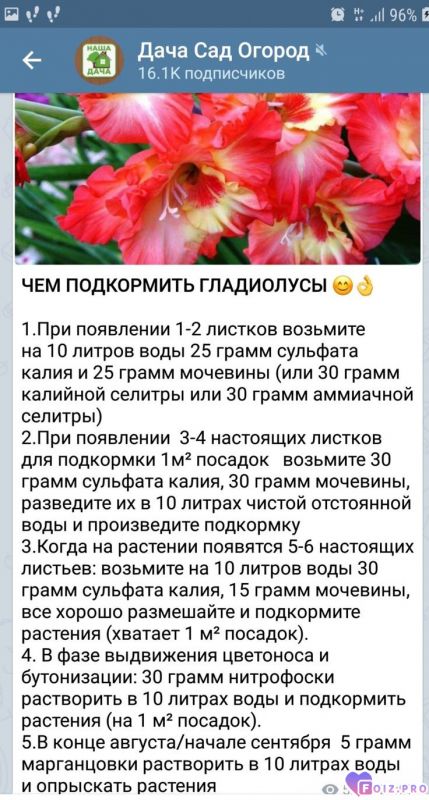 4356cc8a29c58cd7524fb6b9195e8c9e