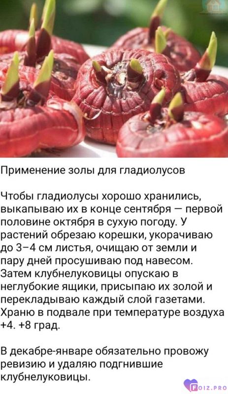 0283cf745578538ad3f93d4035598d1f